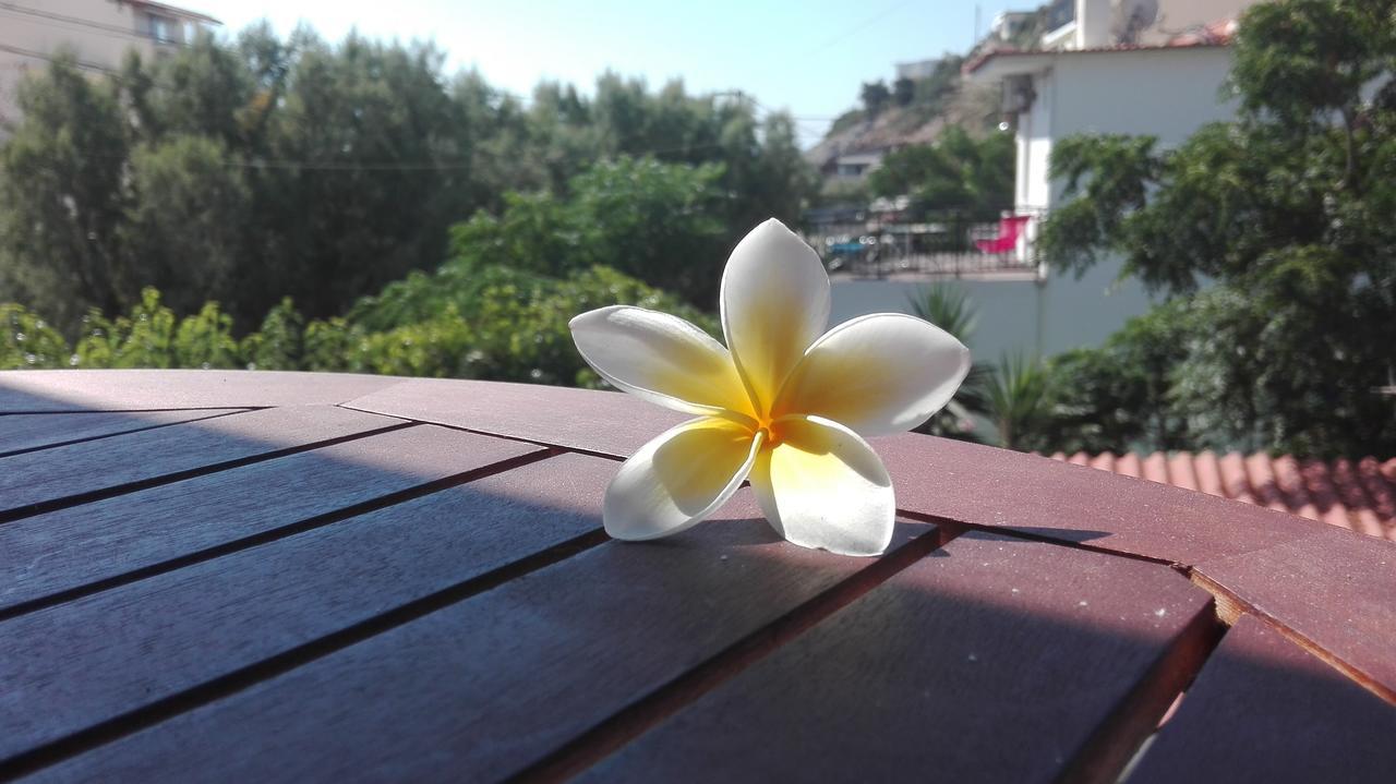 Plumeria Flowery Ágios Kírykos Eksteriør bilde